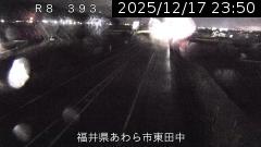 ����8�� ���c��